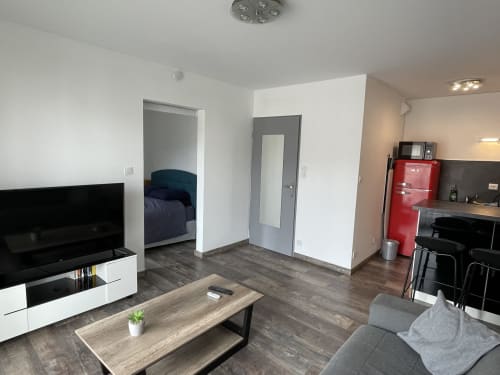 Studio moderne à Toulouse avec séjour ouvert, téléviseur, kitchenette avec réfrigérateur rouge, chambre et décor bois