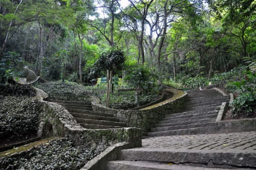 Escadaria de pedra através do dossel exuberante da floresta na Pousada New Ipanema, Rio de Janeiro