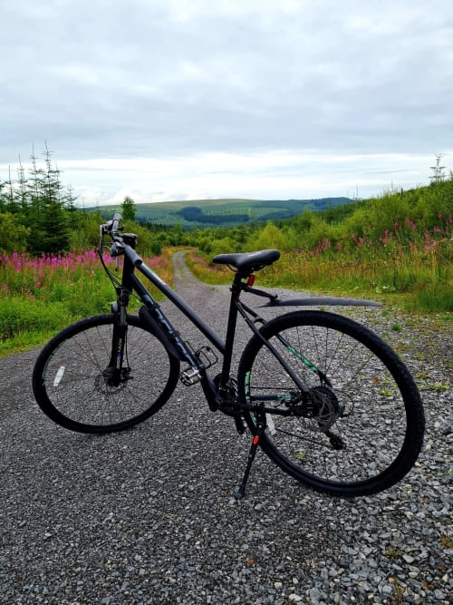 Black hybrid bike on gravel path surrounded by purple wildflowers and green hills near Sliabh Beagh, Monaghan