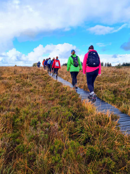 Group hiking on wooden boardwalk through moorland near Sliabh Beagh Hotel, Monaghan, Ireland