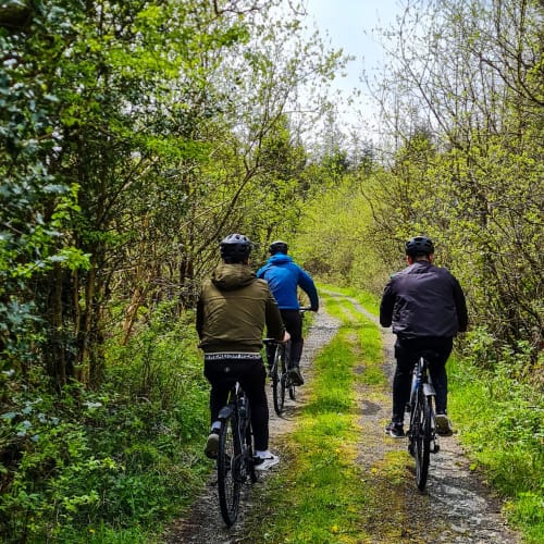 Three cyclists riding on a scenic forest trail near Sliabh Beagh Hotel in Monaghan, Ireland