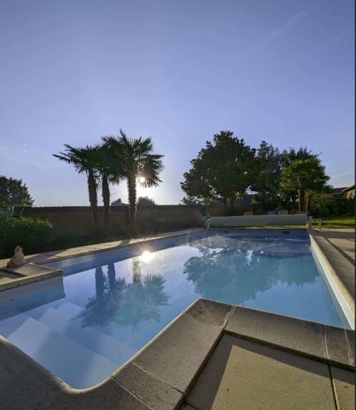 Piscine cristalline de La Maison D'olivier B&B à Mesnard la Barotière, reflétant les palmiers et le ciel bleu