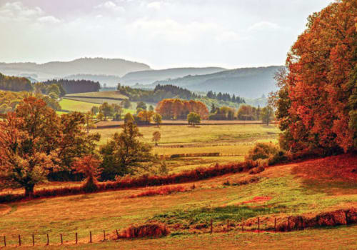 Paysage automnal avec champs dorés, arbres aux feuilles rouges et collines ondulantes près de Flavigny-sur-Ozerain, France