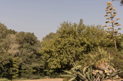 Tranquil riverside garden at Le Prieuré Notre-Dame with agave plants and lush trees in Montfrin