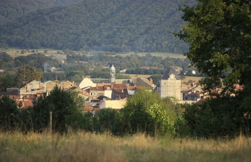 Montréjeau, Nature, Pyrénées, verdure, Occitanie, Haute-Garonne