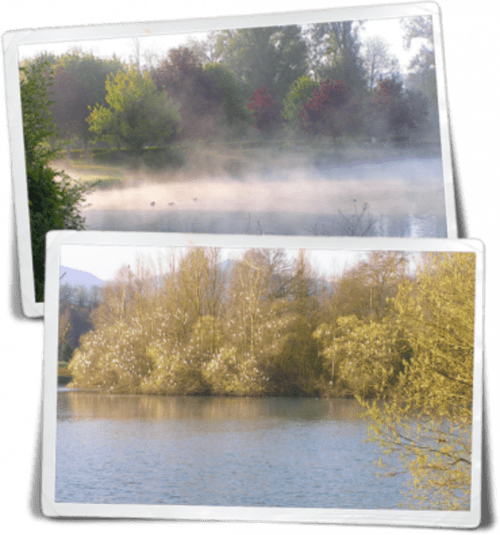 Montréjeau, Nature, Village, Comminges, Haute-Garonne, Lac, oiseaux