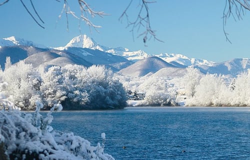 Lac, Pyrénées, canards, lac de montréjeau, oiseaux, nature, Pic du midi, Neige