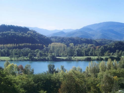 Lac, Pyrénées, lac de montréjeau, oiseaux, nature, 
