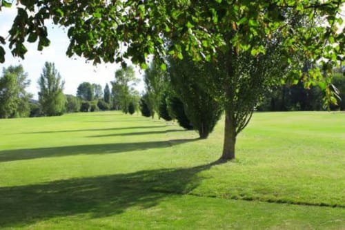 Pyrénées, Golf, Golf de Montréjeau, Nature, Verdure, Montréjeau
