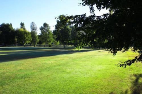 Pyrénées, Golf, Golf de Montréjeau, Nature, Verdure, Montréjeau
