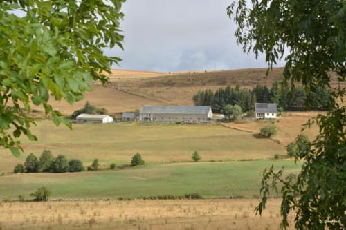 Laguiole,  Borie de noel, Chambre d'hote horrizon Aubrac, Aubrac, Aveyron,  