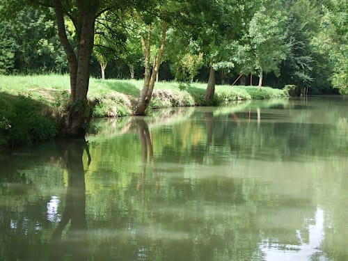 Scène paisible au bord de la rivière à La Maison D'olivier, Mesnard La Barotière, avec arbres verdoyants se reflétant dans l'eau calme