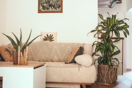 Salon côtier de l'hôtel Art de Voyager à Étretat avec canapé crème, plantes en pot et décor mural d'éléphant