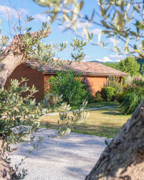 Olivier, Nature, chalets, pyrénées, hôtel, Montréjeau, Plantes