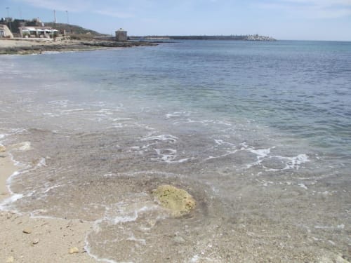 Acque turchesi cristalline e spiaggia sabbiosa a Panoramici Monolocali a Leuca, con edifici costieri e molo visibili