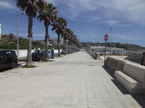Passeggiata fronte mare con palme a Leuca, vicino a Panoramici Monolocali