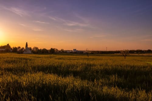 Campo di grano dorato al tramonto con casali della regione Paradiso in Italia