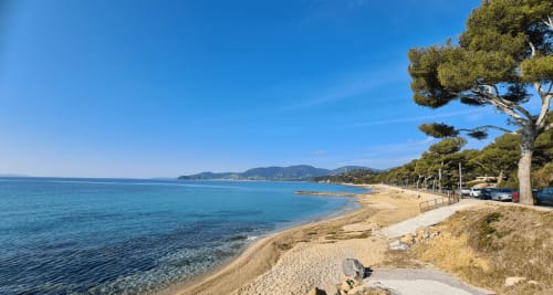 Sandy beach with clear turquoise water and pine trees at Villa Sigahi, La Croix Valmer, French Riviera