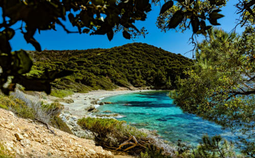 Crique turquoise aux eaux cristallines, plage de sable fin bordée de pins parasols à Villa Sigahi, La Croix Valmer, Côte d'Azur