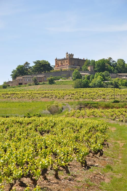 Château de Montmelas entouré de vignes, maison de pagneux, chambres d'hôtes en Beaujolais des Pierres dorées