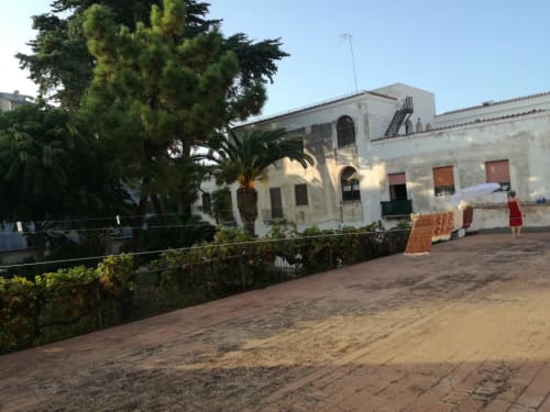 Villa Zia Amalia Asfodelo, elegante dimora fronte mare ad Alghero con architettura bianca, palme e giardino sabbioso