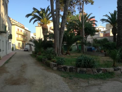 Percorso del giardino tropicale di Zia Amalia Villa Asfodelo B&B ad Alghero, circondato da palme e edifici mediterranei