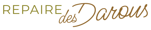 Logo de l'hôtel-boutique Repaire des Darous à Saulxures-sur-Moselle, France