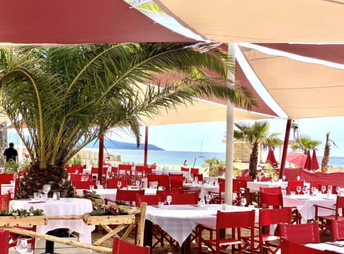 Terrasse en bord de mer de Villa Sigahi à La Croix Valmer avec chaises rouges, palmiers et vue sur la Méditerranée