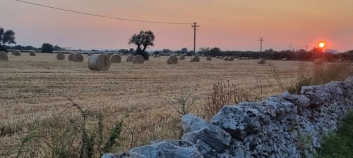 Paesaggio rurale toscano al tramonto con balle di fieno, muro di pietra, linee elettriche e alberi presso CorteLirice Paradiso