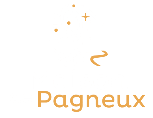 Logo de la Maison de Pagneux, chambres d'hôtes en Beaujolais des Pierres dorées 