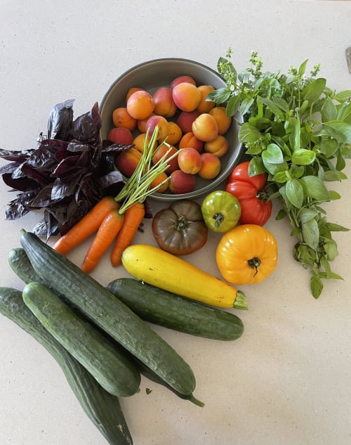 Fresh farm vegetables including apricots, tomatoes, cucumbers, carrots, and herbs at Maison Monsieur Léger in Montaut, France