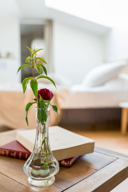 rose rouge et branche de verveine dans un vase, romans sur table basse, chambre air, maison de pagneux, chambres d'hôtes en Beaujolais des Pierres dorées 