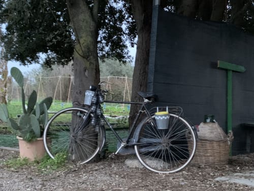 Bicicletta nera parcheggiata sotto gli alberi presso l'Agriturismo Il Pomo d'oro ad Assemini, Italia
