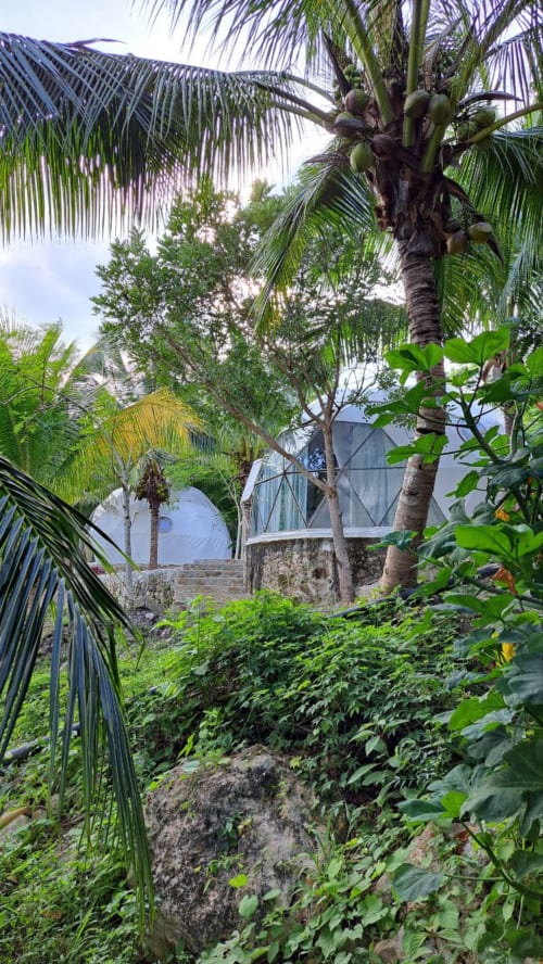 Exuberante vista del jardín del hostal Cayuco Maya en Bacalar con palmeras y vegetación tropical