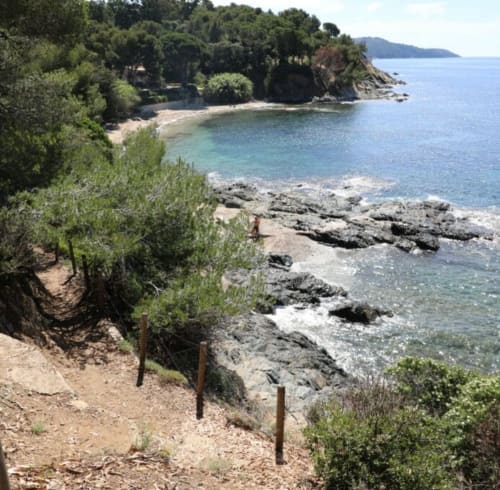 Côte rocheuse méditerranéenne avec pins à Villa Sigahi, La Croix Valmer, France