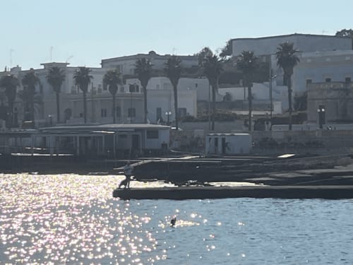Monolocali con vista panoramica sulla costa di Leuca: palme, edifici bianchi e barche