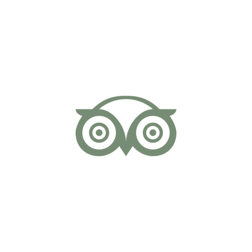 Icône de hibou vert symbolisant la sagesse et l'hospitalité de La Maison D'olivier B&B à Mesnard La Barotière, France