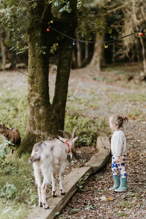 Profitez d'un séjour en famille
pour d'agréables vacances en Bretagne