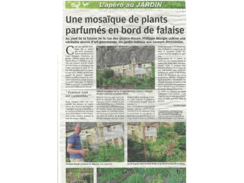 Article sur le jardin français : les plantes parfumées de Philippe Mangin au Clos des Moulins, Poitiers