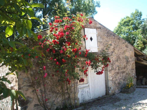 Une ancienne tannerie vient enrichir les lieux !