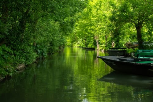 Le Marais Poitevin, appelé aussi Venise Verte vous fera profiter du calme en naviguant sur ses canaux. C'est fabuleux ! 