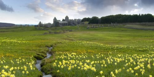 printemps, Hotels, Hotel Laguiole, Borie de Noel, gite  Aubrac