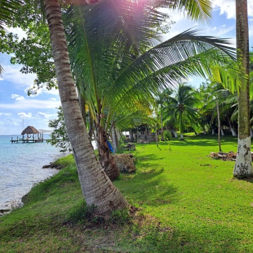 Exuberantes jardines tropicales con palmeras a orillas del Lago Bacalar en el hostel Cayuco Maya, México