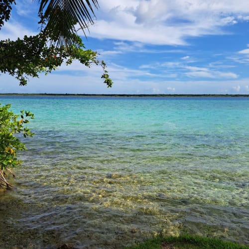 Aguas cristalinas turquesas del Lago Bacalar en el hostal Cayuco Maya con vegetación tropical y cielo azul
