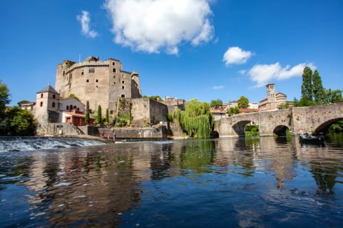 Château médiéval sur la rivière avec pont de pierre à Mesnard La Barotière, France - Gîte La Maison D'Olivier
