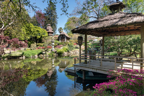 Les jardins de La Maison D'olivier avec bassin, pavillon chaumé et fleurs magenta à Mesnard La Barotiere, France