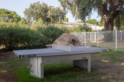 Table de ping pong, espace de jeux 