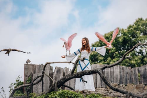 Femme avec des flamants roses sur une branche à La Maison D'olivier, gîte à Mesnard La Barotière, France