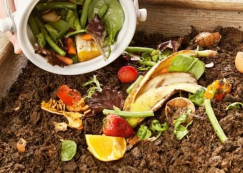 Composting food scraps and vegetable waste at Clos des Moulins, eco-friendly B&B in Poitiers
