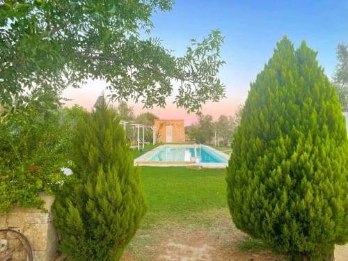 Piscine de la Masseria Vittoria entourée de cyprès d'Italie et de pelouse soignée à Acaya, Vernole